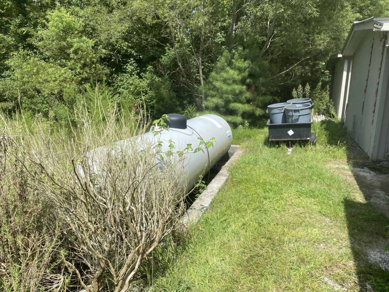 354 Kurios Lane Photo 4