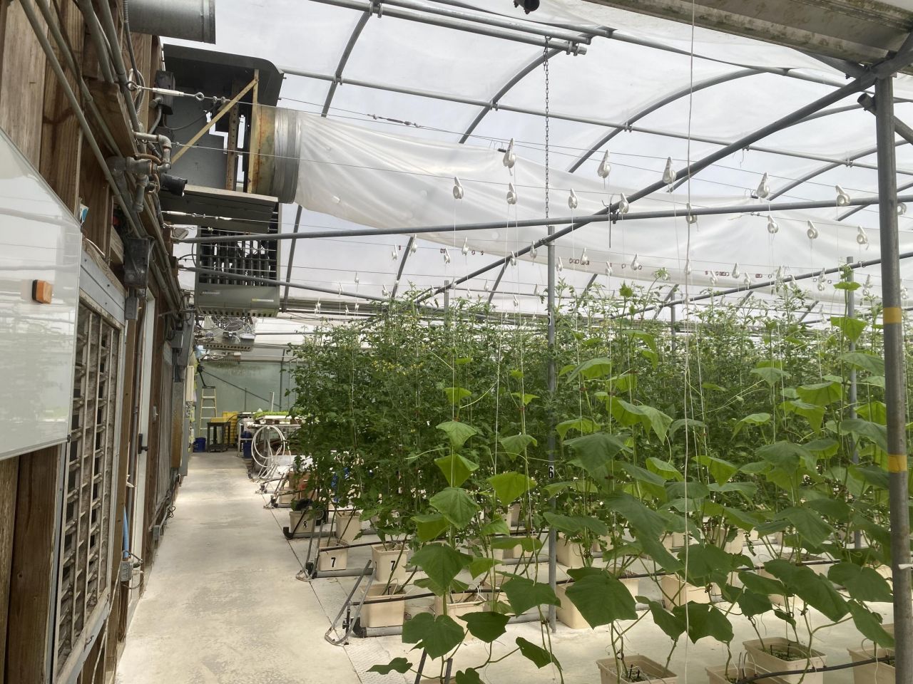 354 Kurios Lane Photo 8