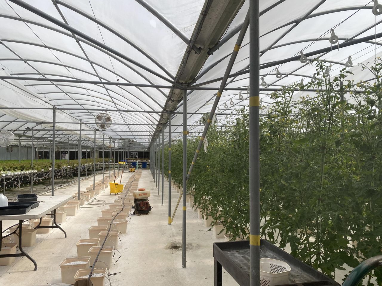 354 Kurios Lane Photo 9