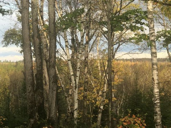 Lot 13 W Cedar DR, Sault Ste Marie, MI 49783