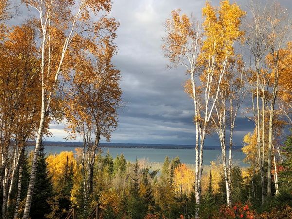 Lot 9 W Cedar DR, Sault Ste Marie, MI 49783