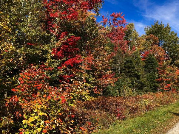 Lot 19 W Cedar DR, Sault Ste Marie, MI 49783