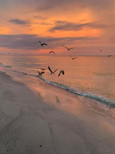 100 Bluff View Drive, Unit 608C, Belleair Bluffs, FL 33770 Photo