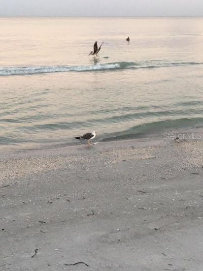 100 Bluff View Drive, Unit 608C, Belleair Bluffs, FL 33770 Photo