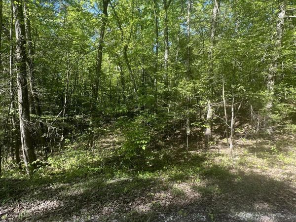 0 Lake Overlook Drive, Spring City, TN 37381