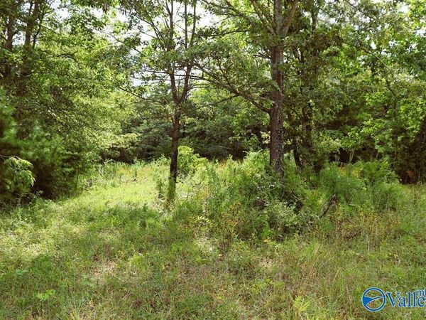 3 Acres County Road 198, Danville, AL 35619