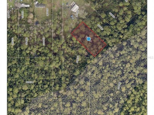 RACCOON STREET, PAISLEY, FL 32767