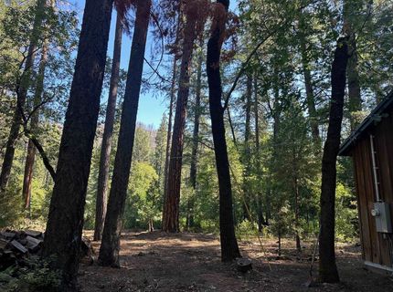 187 Riverview Lane, Twain, CA 95984 Photo