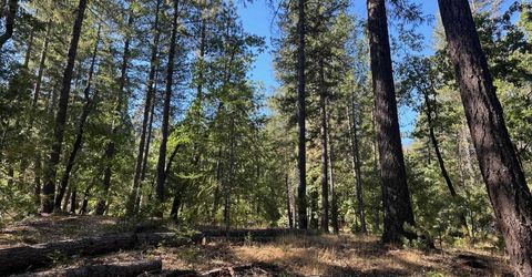 187 Riverview Lane, Twain, CA 95984 Photo