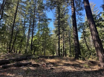 187 Riverview Lane, Twain, CA 95984 Photo