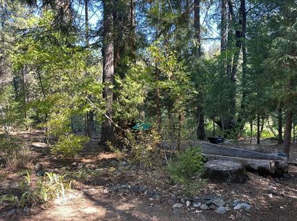 187 Riverview Lane, Twain, CA 95984 Photo