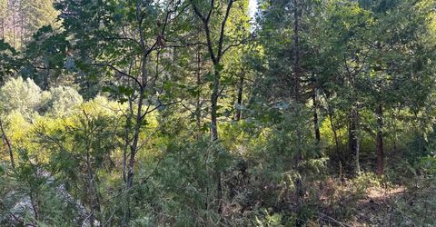 187 Riverview Lane, Twain, CA 95984 Photo