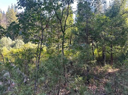 187 Riverview Lane, Twain, CA 95984 Photo