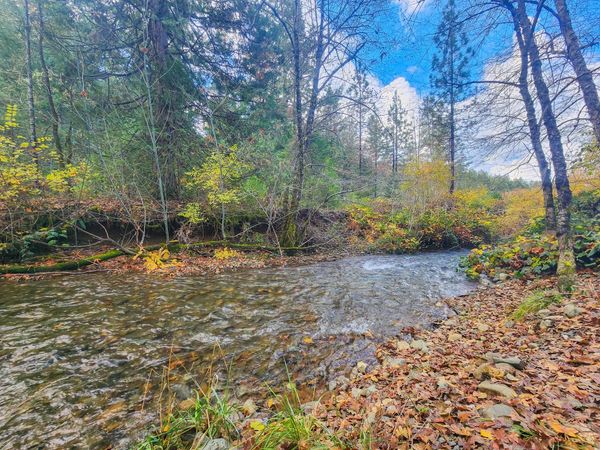 1338 Thompson Creek Road, Selma, OR 97538