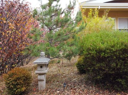 13376 Rue Montaigne, Oregon House, CA 95962 Photo