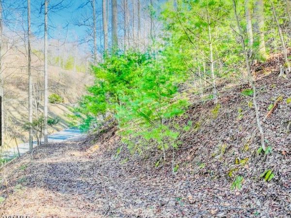 Lot 18 Horseshoe Cove Dr/Mistyhollow Drive, Butler, TN 37640