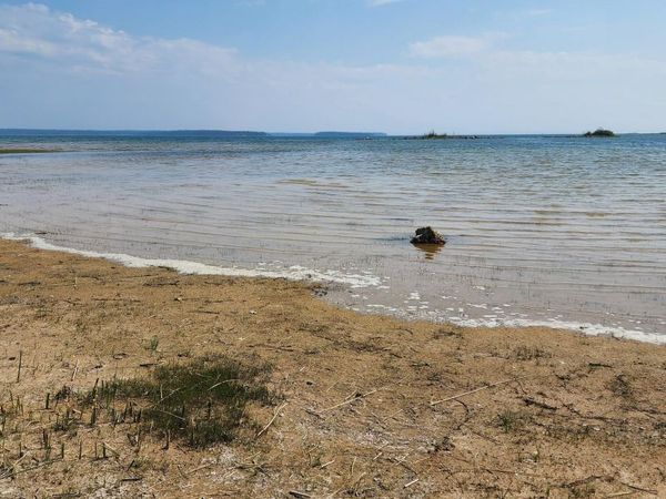 4989 W Cedar RD, Hessel, MI 49745