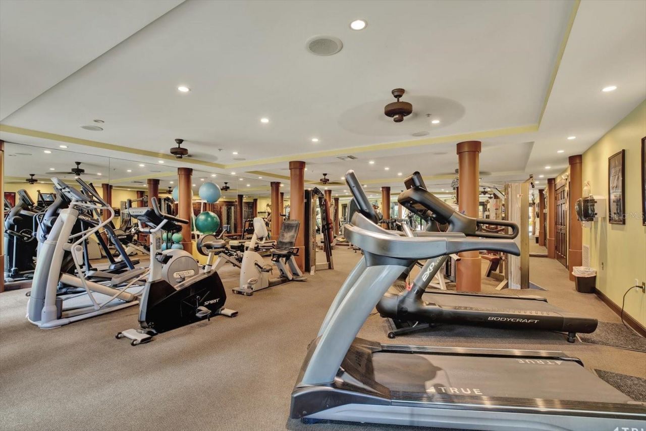 100 4th Avenue S, Unit 229, Saint Petersburg, FL 33701 Photo