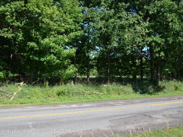 0 Edgar Road, Leslie, MI 49251