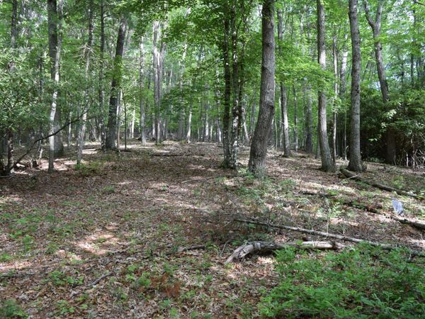 1866 Firehouse RD NW, Willis, VA 24380