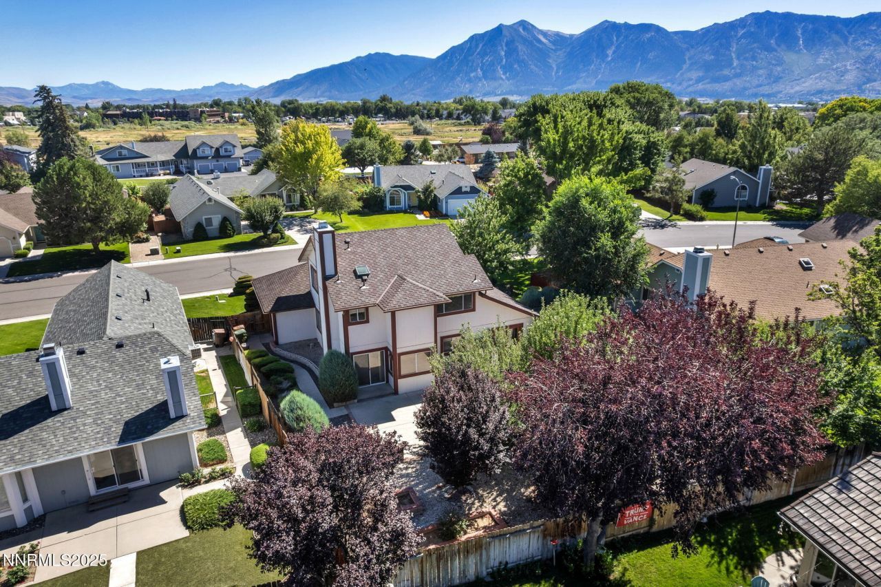 1701 Lantana Drive, Minden, NV 89423 Photo