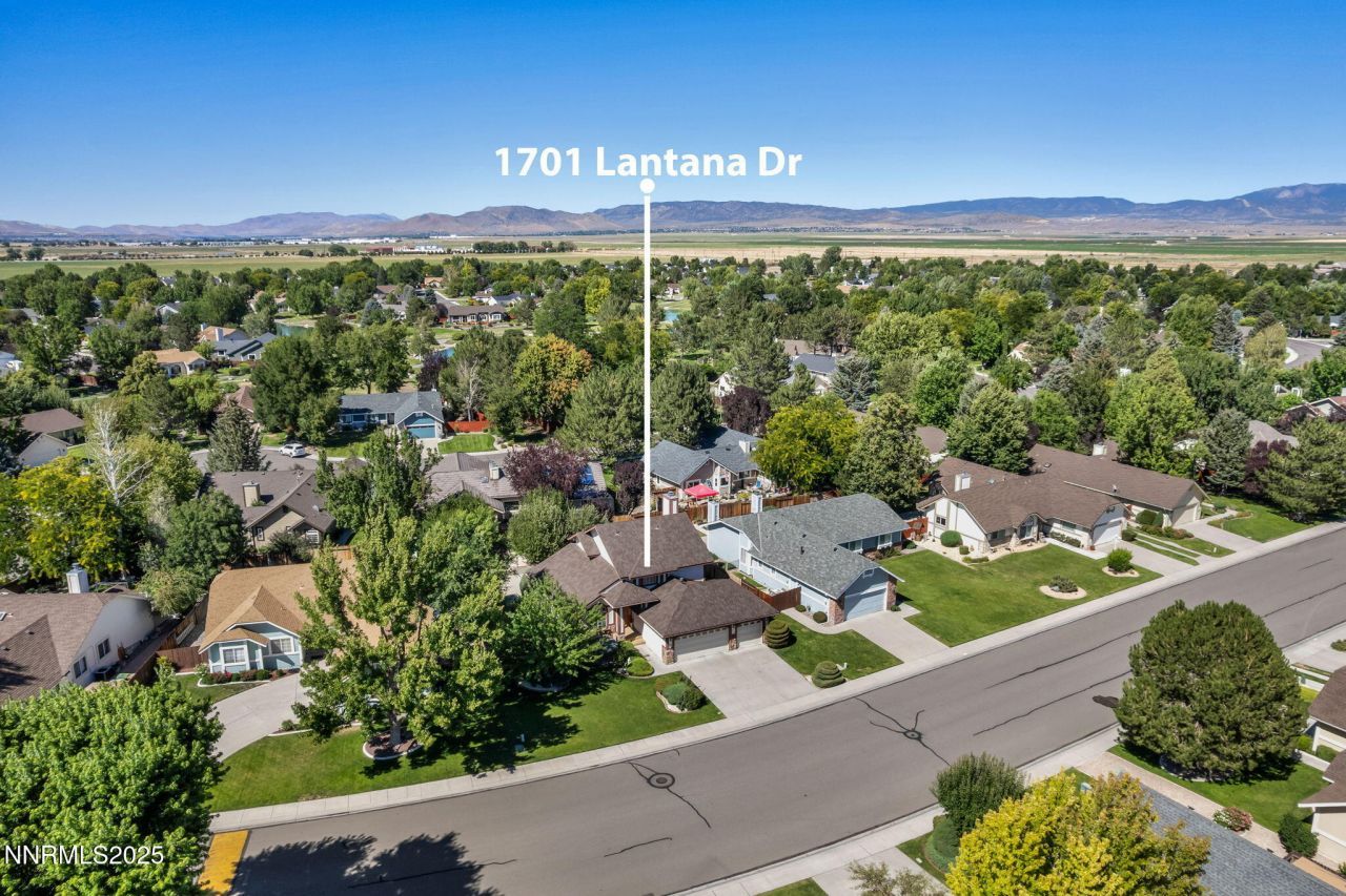1701 Lantana Drive, Minden, NV 89423 Photo