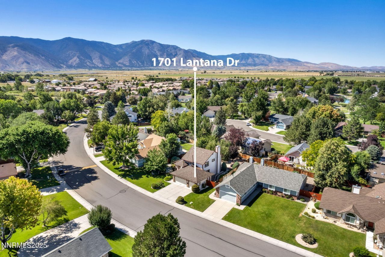 1701 Lantana Drive, Minden, NV 89423 Photo