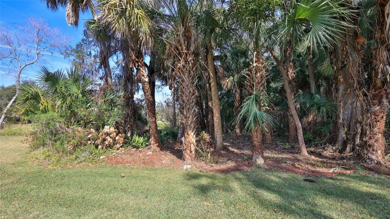 725 Green Road, New Smyrna Beach, FL 32168 Photo