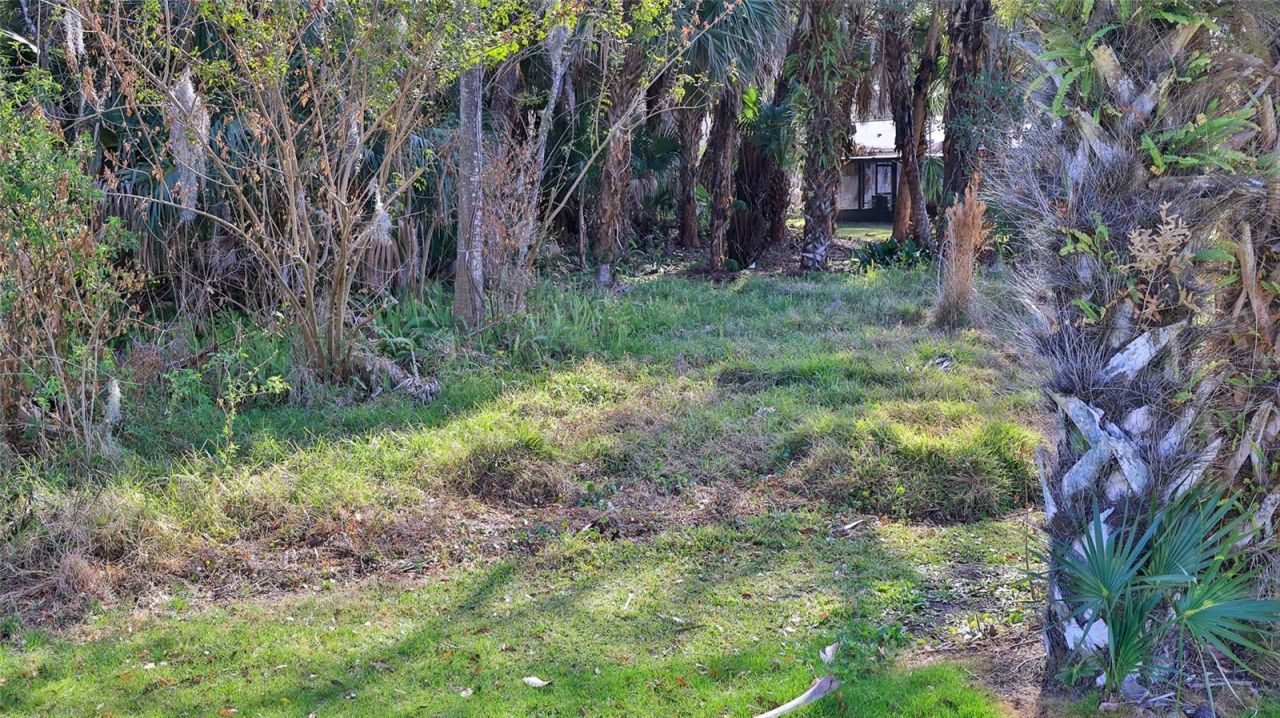 725 Green Road, New Smyrna Beach, FL 32168 Photo