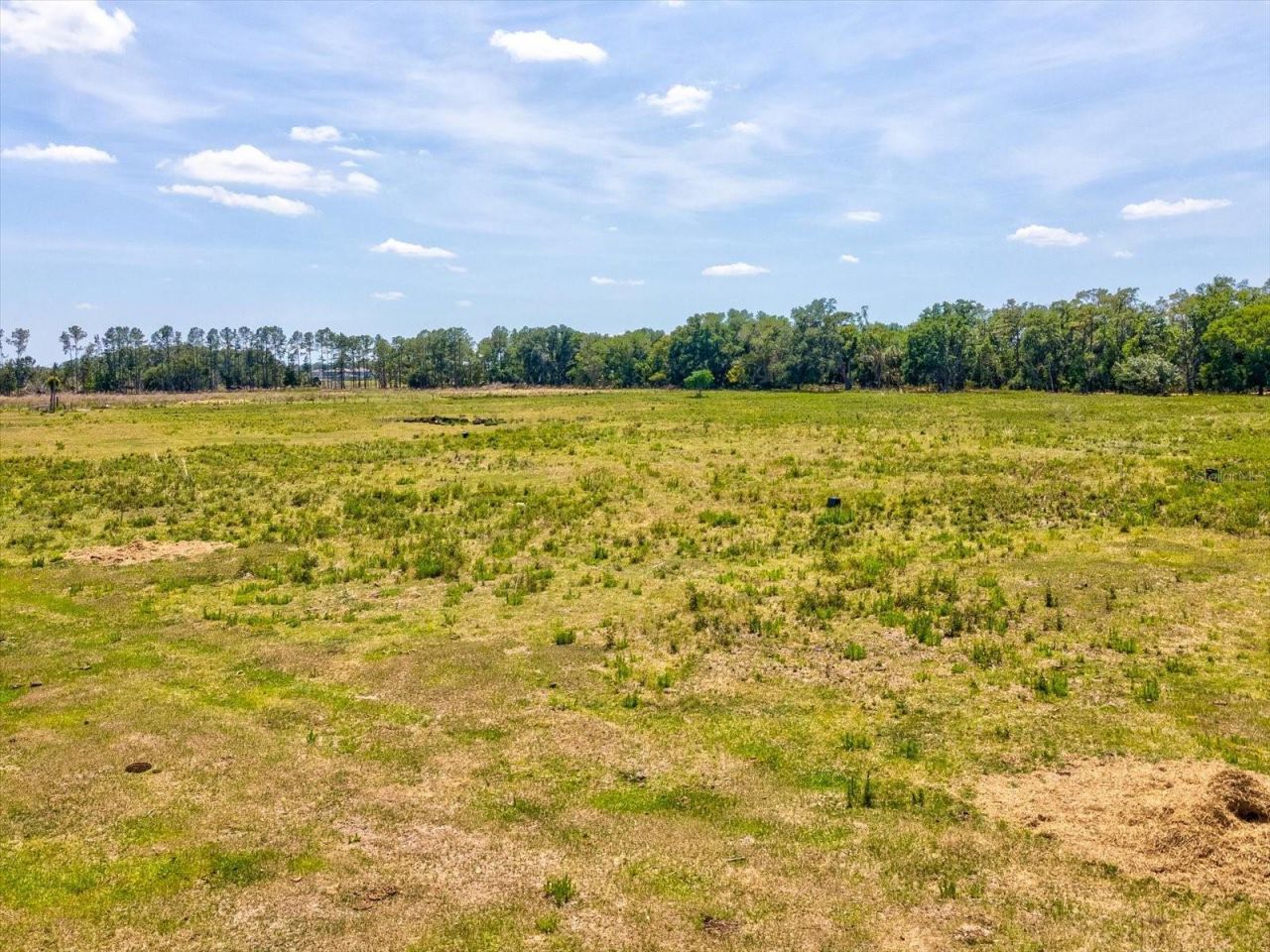 8989 Ehren Cutoff, Land O Lakes, FL 34639 Photo