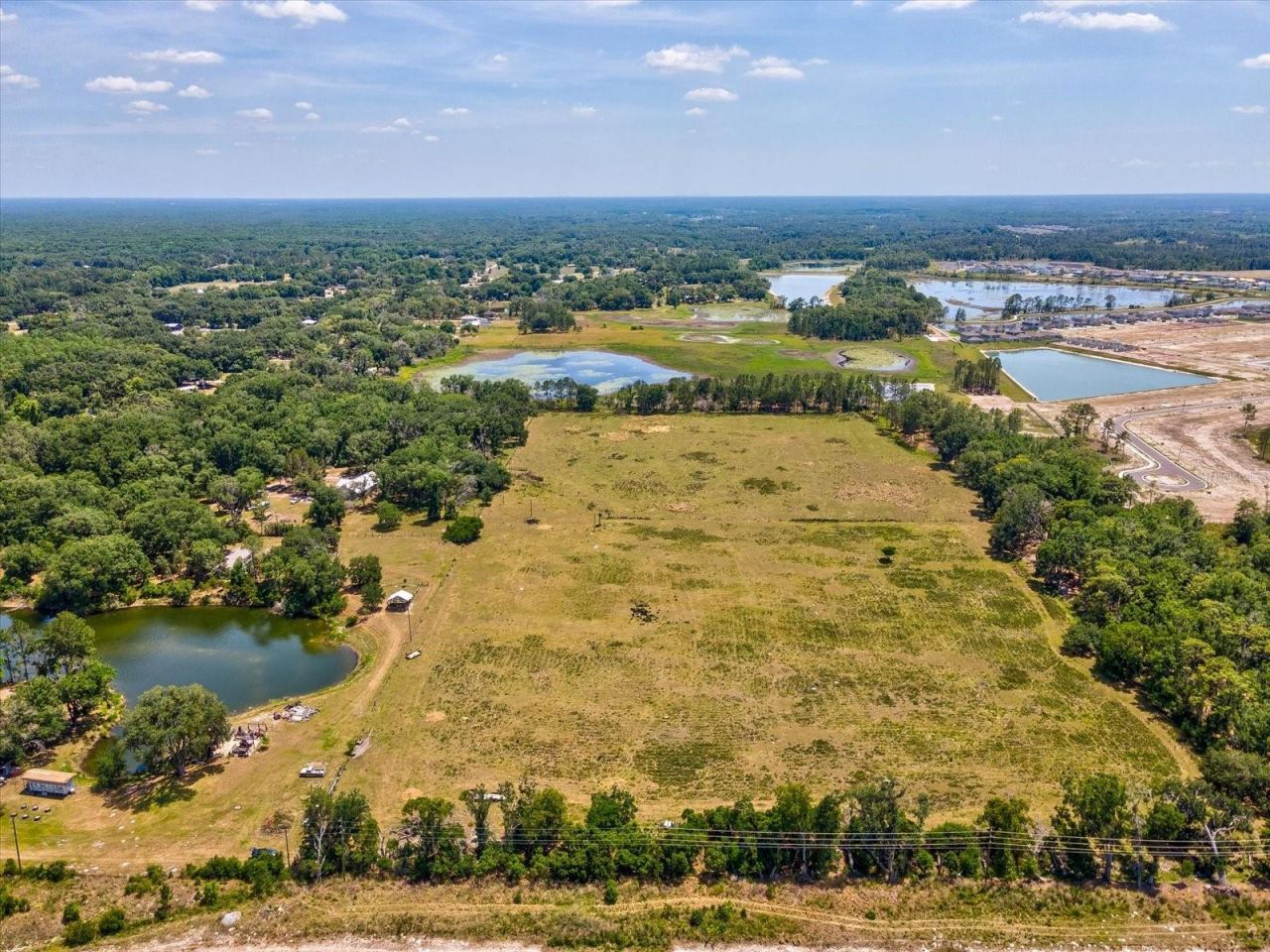 8989 Ehren Cutoff, Land O Lakes, FL 34639 Photo