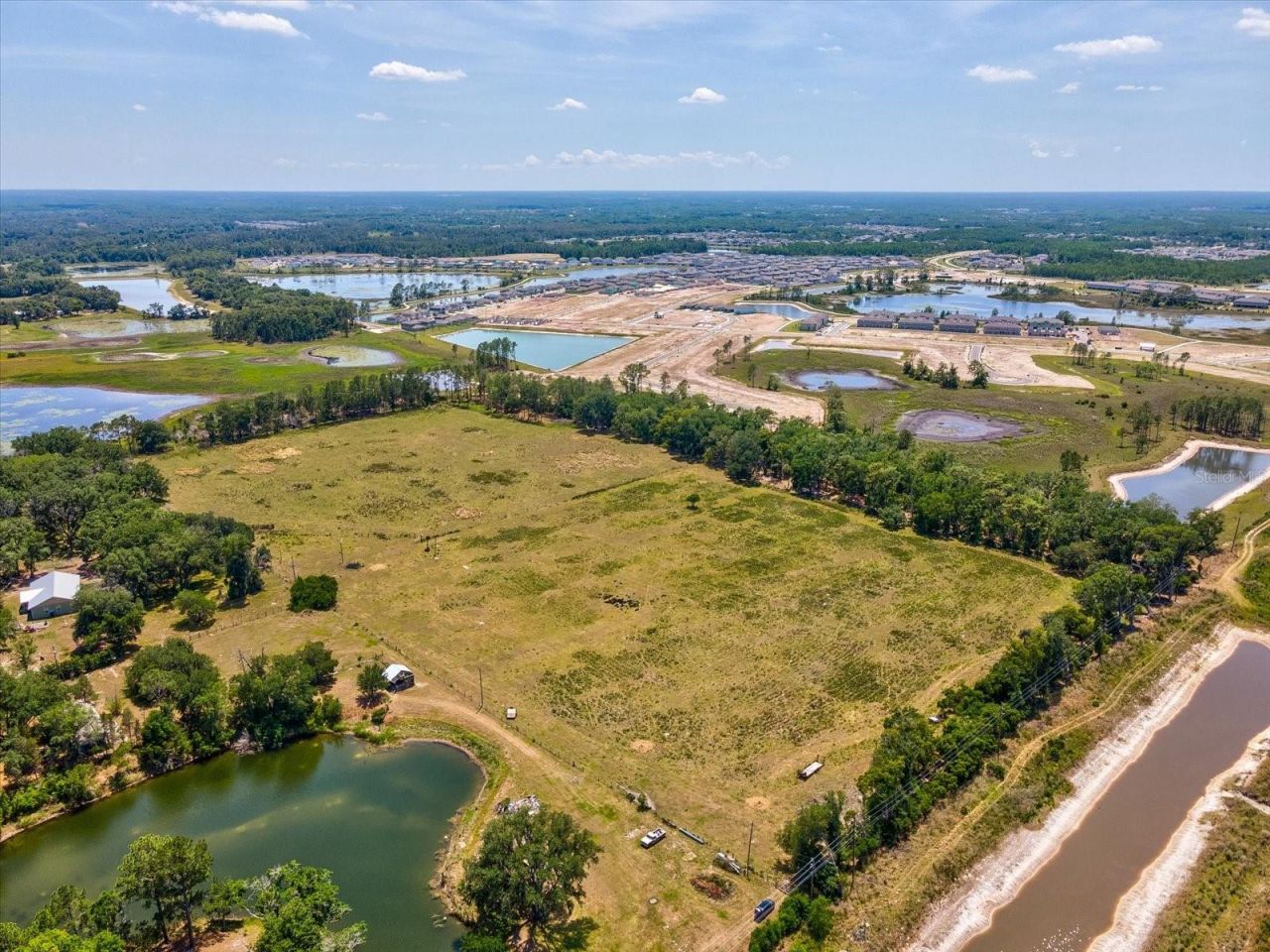 8989 Ehren Cutoff, Land O Lakes, FL 34639 Photo