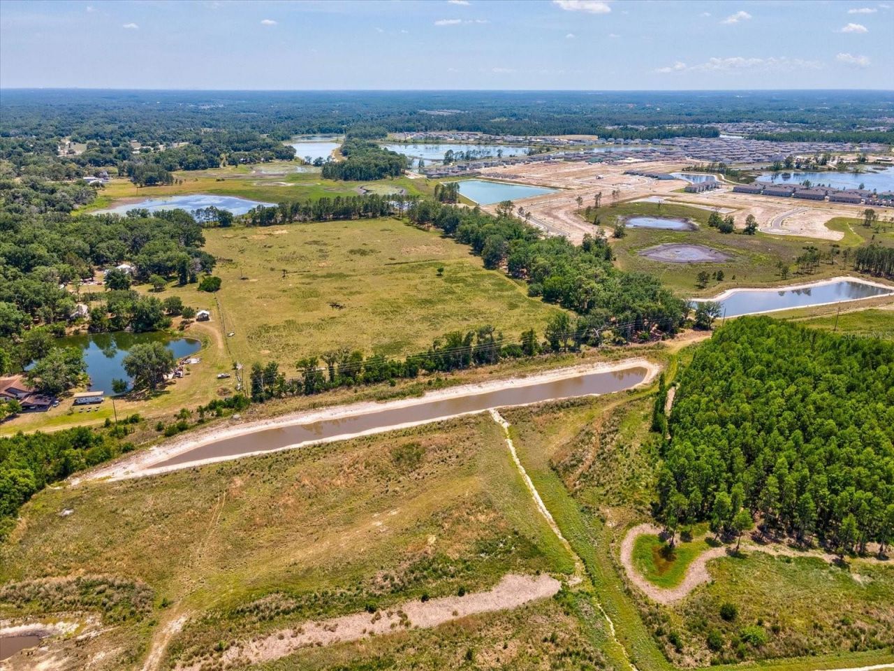 8989 Ehren Cutoff, Land O Lakes, FL 34639 Photo