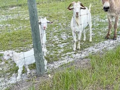 159 Old Starke Road, Palatka, FL 32177 Photo