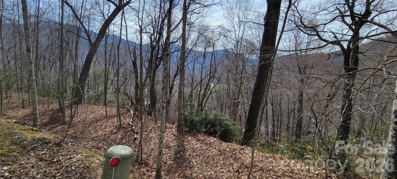 99999 Maplewood Drive, Maggie Valley, NC 28751 Main Photo