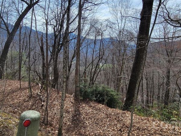 99999 Maplewood Drive, Maggie Valley, NC 28751