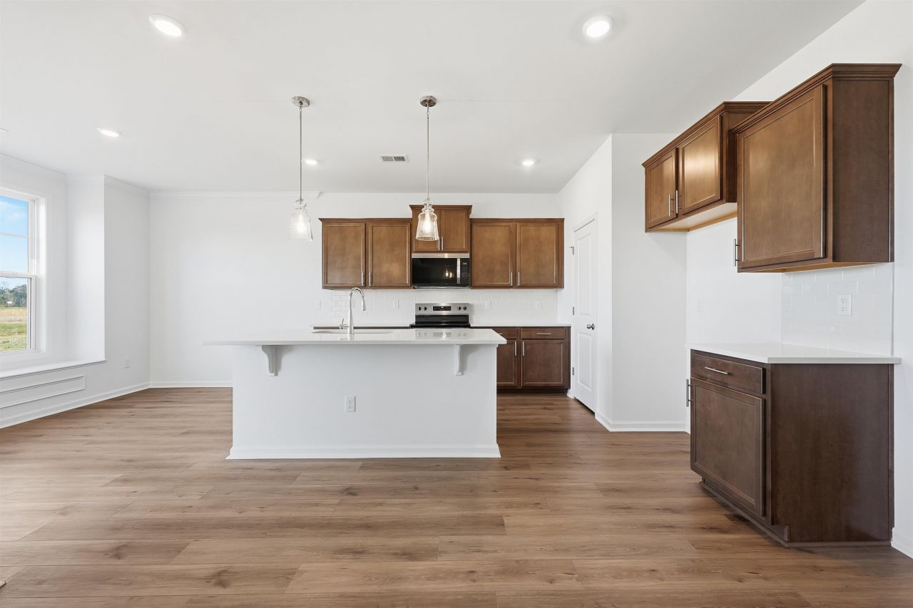 149 River Birch Dr. Photo 9