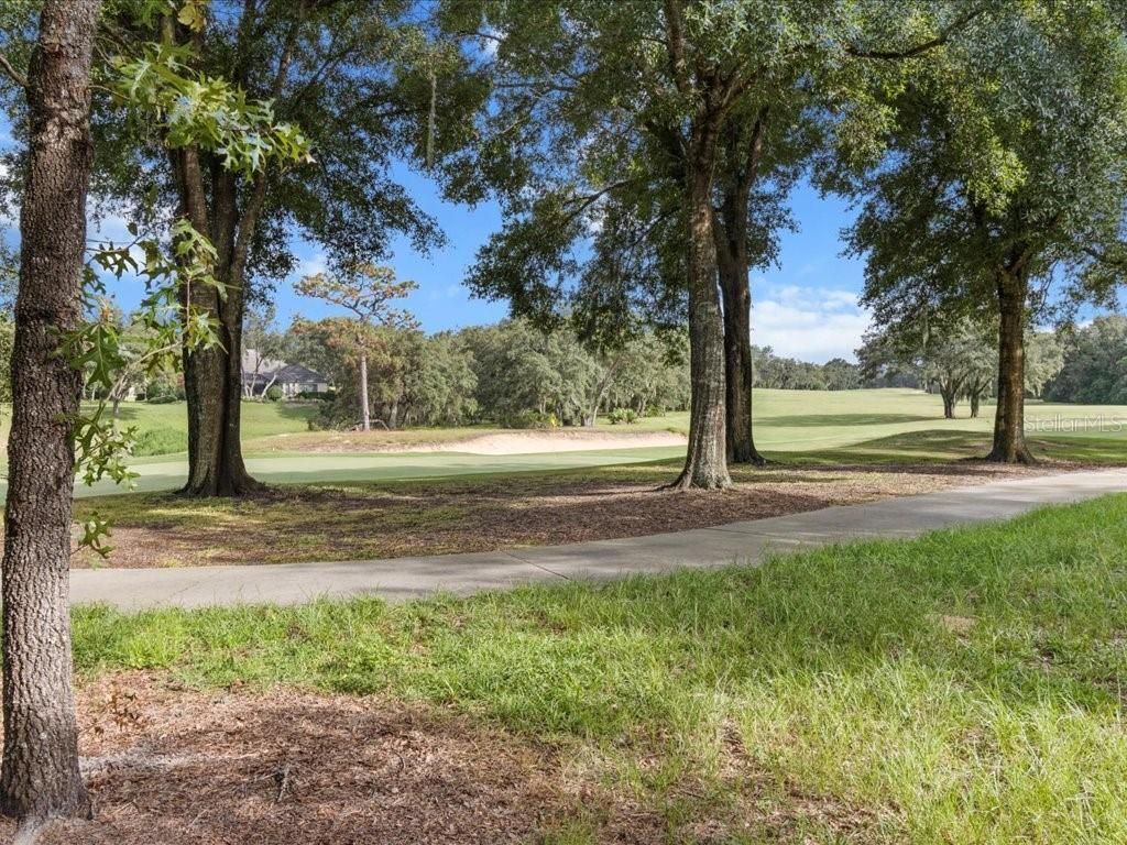 3937 W Shadow Creek Loop, Lecanto, FL 34461 Photo