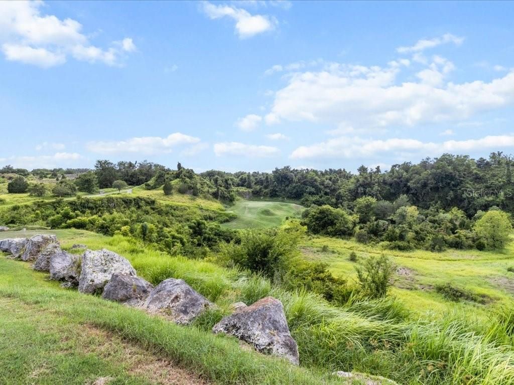 3937 W Shadow Creek Loop, Lecanto, FL 34461 Photo