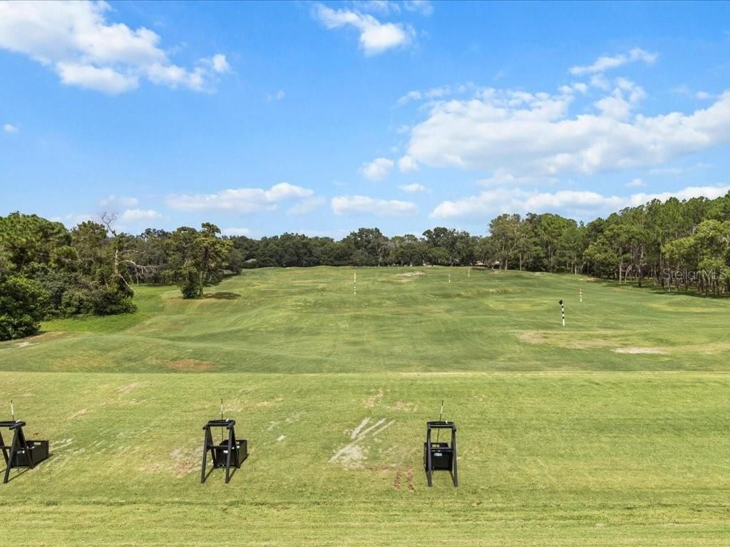 3937 W Shadow Creek Loop, Lecanto, FL 34461 Photo