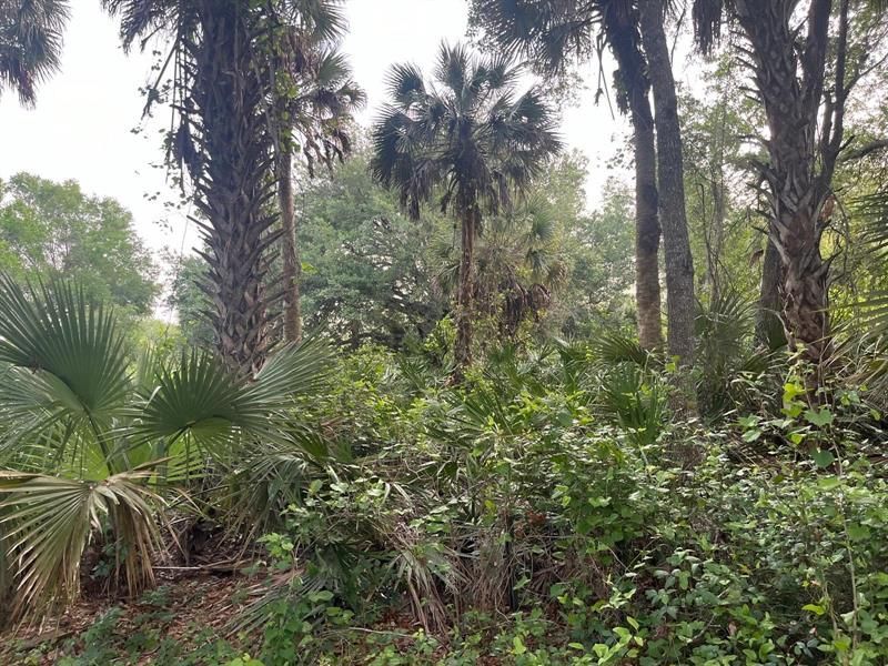 15148 NW 288th St, Okeechobee, FL 34972 Photo