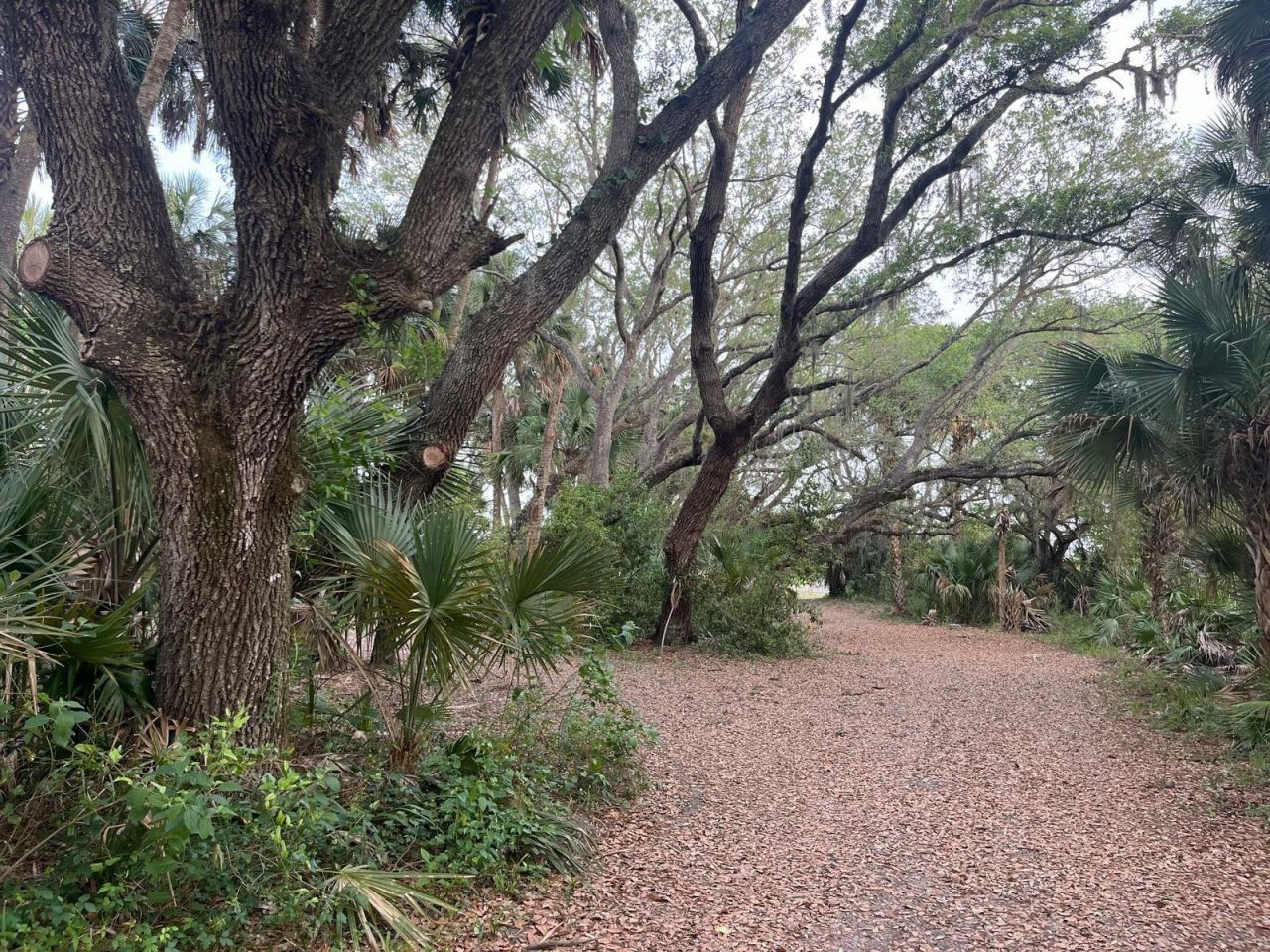 15148 NW 288th Street, Okeechobee, FL 34972 Photo