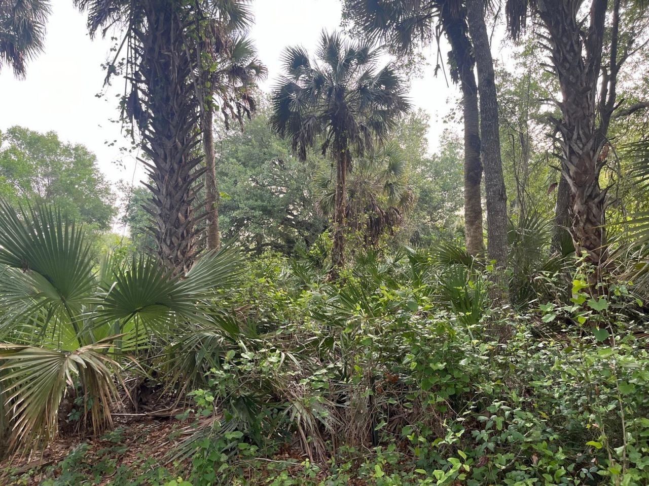 15148 NW 288th Street, Okeechobee, FL 34972 Photo