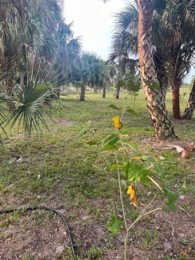 15148 NW 288th St, Okeechobee, FL 34972 Photo