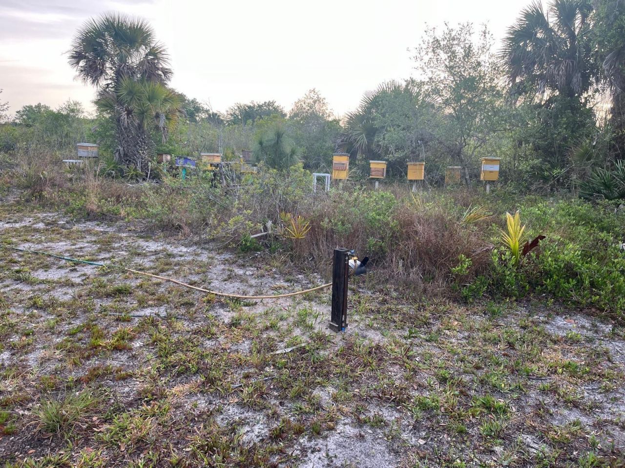 15148 NW 288th Street, Okeechobee, FL 34972 Photo