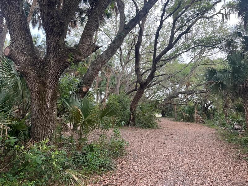 15148 NW 288th St, Okeechobee, FL 34972 Photo