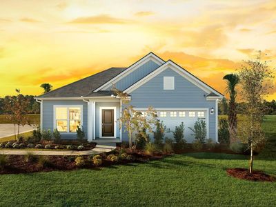 105 Monroe Preserve Drive, Chapin, SC 29036