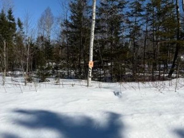 B McDonald Road, Castle Hill, ME 04757