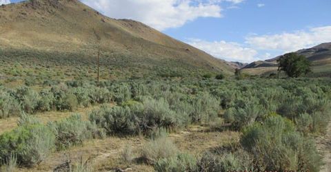 00-horse Creek Ranch Road N Horse Creek Ranch, Orovada, NV 89425 Photo