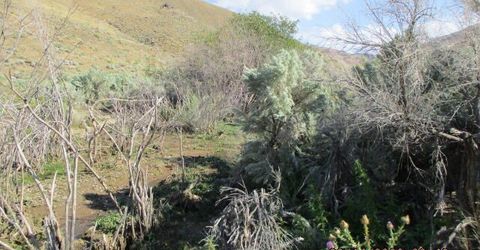 00-horse Creek Ranch Road N Horse Creek Ranch, Orovada, NV 89425 Photo